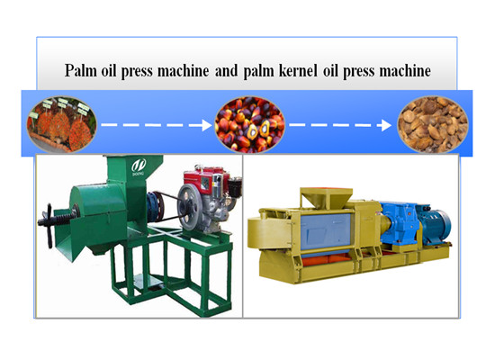 Palm kernel oil expeller machinery