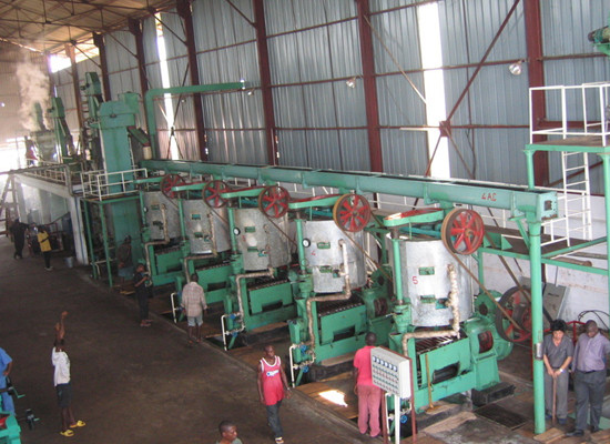 palm kernel oil press