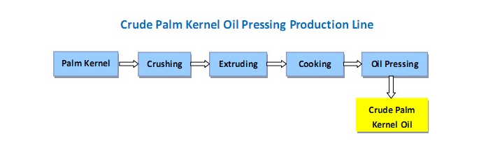 palm kernel oil processing flow
