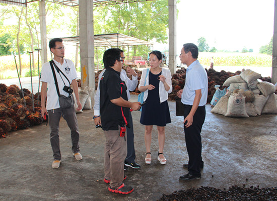 thailand palm oil processing plant