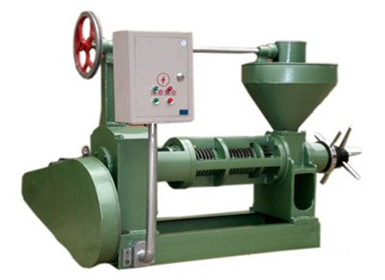 6YL-120 black seed oil press machine