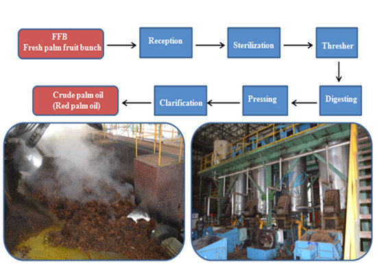 Turn-key palm oil mill