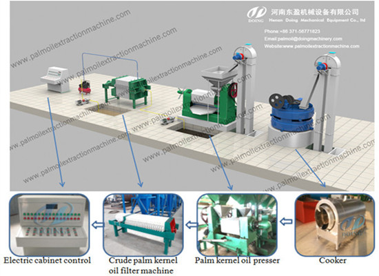 Palm kernel expeller press machine