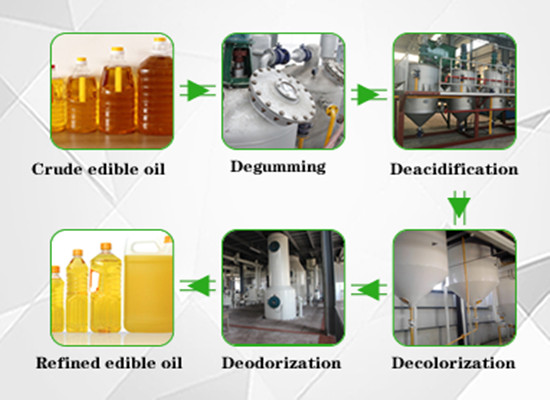 Batch type palm kernel oil refinery plant