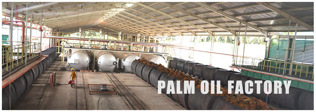 palm oil machine