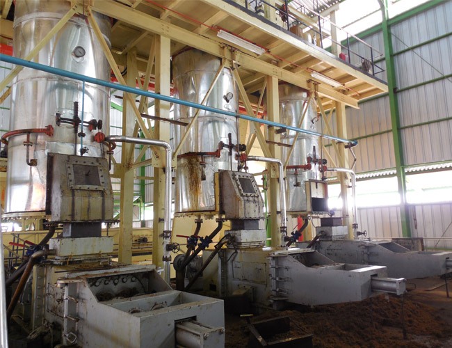 palm oil press machine