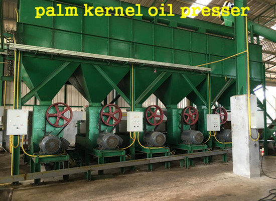 Palm kernel oil expeller machine