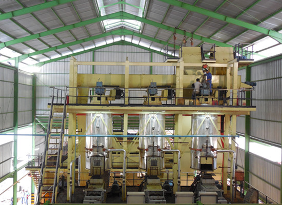 Palm oil processing line