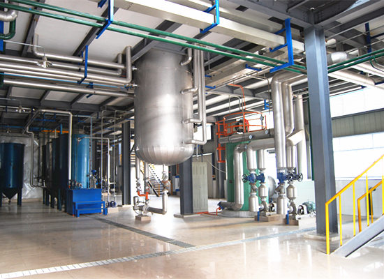 30-500tpd palm oil refining machine