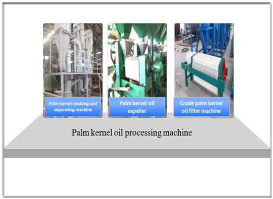 Palm kernel oil mill machine manufacturers in China