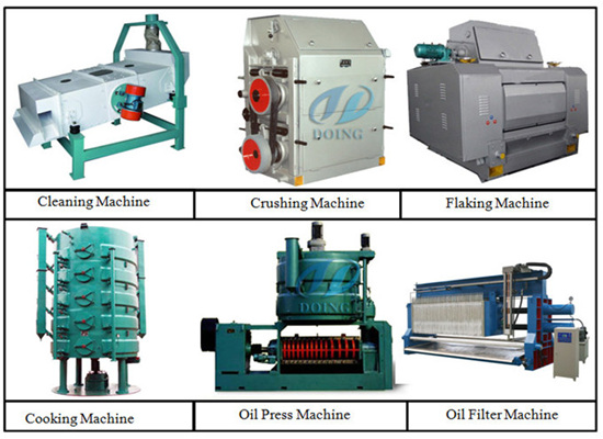 Palm kernel oil press production line