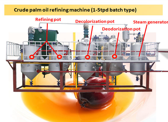 Palm oil refinery and fractionation plant