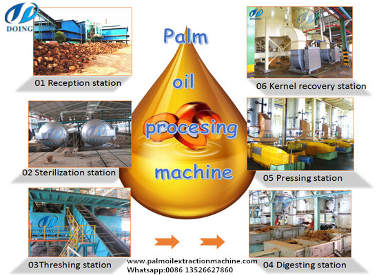 Palm oil production process