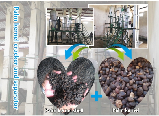 Feedback from Nigerian customer on the working effect of palm kernel cracking and separating system