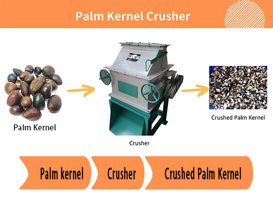 American customer bought one set 1tph palm kernel crusher from Henan Glory company!