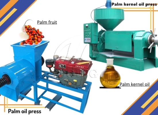 Is it better to start a palm oil processing business or a palm kernel oil processing business for people who are doing business for the first time?
