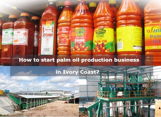 How to start palm oil production business in Ivory Coast?
