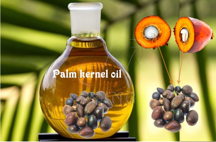 palm kernel oil product