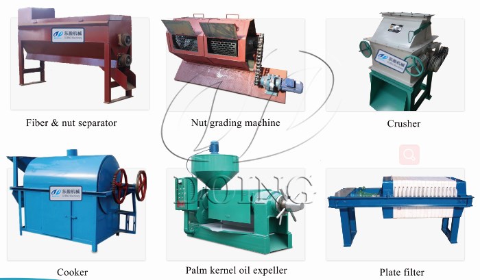 palm kernel process machine