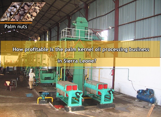 How profitable is the palm kernel oil processing business in Sierra Leone?