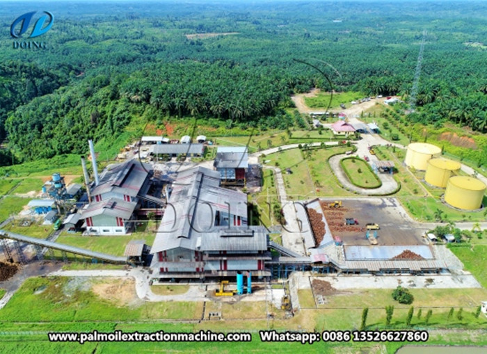 large scale palm oil processing plant
