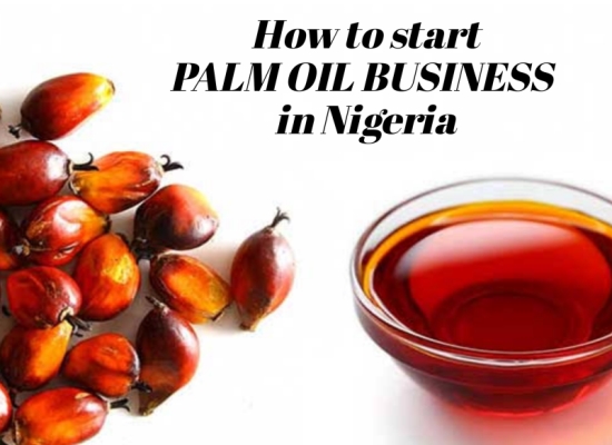 How to start palm oil processing business in the south east and south west of Nigeria?