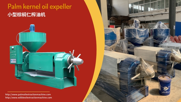 palm kernel oil expeller