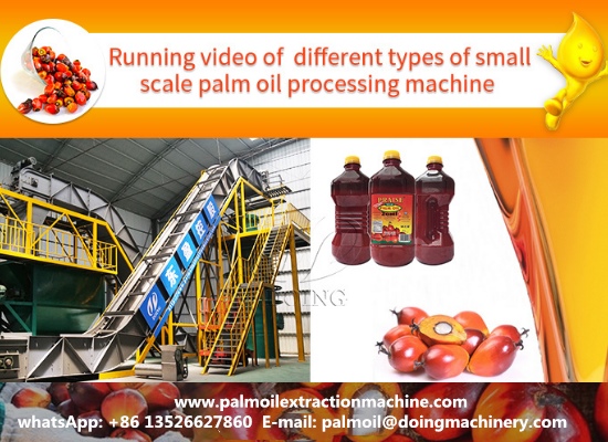 The difference between human-made palm oil and machine-made palm oil