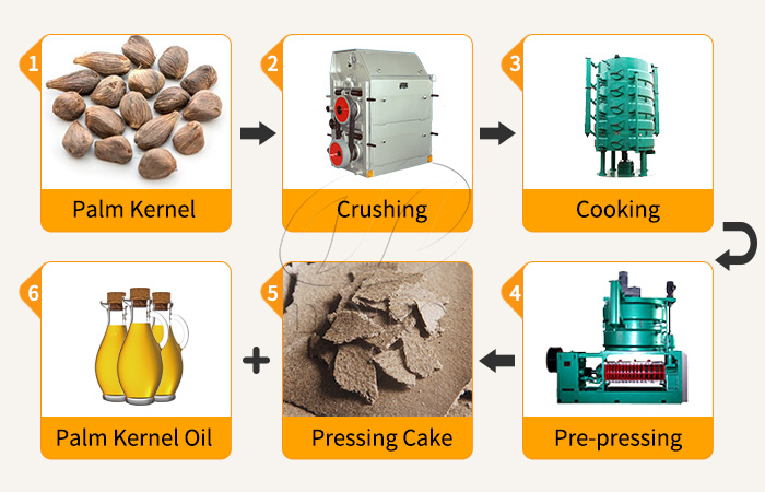 棕榈仁压榨流程.jpg