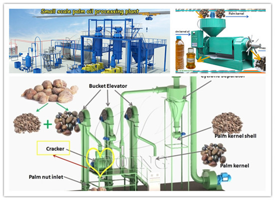 Nigerian customer purchased 2tph palm oil processing line and 2-3tph palm kernel cracker and shell separator and 0.5tph palm kernel oil press machine