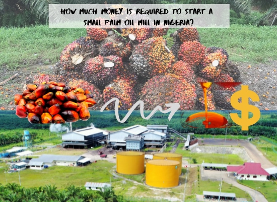 How much it will cost to set up a small scale palm oil mill in Nigeria?