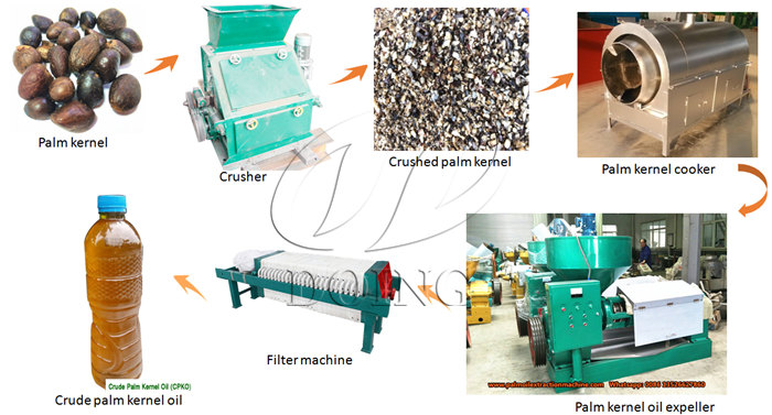 How is palm kernel oil produced?_Palm Oil Extraction FAQ