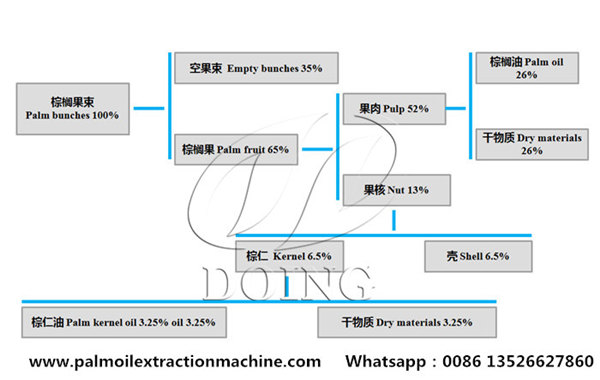 the oil content of palm fruits.jpg