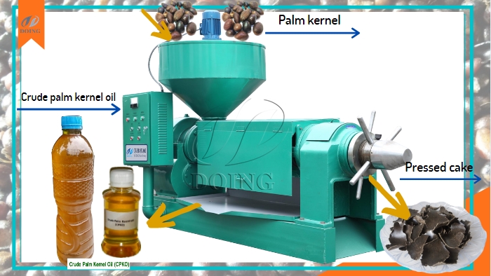 How many tons palm kernels are needed to produce 1 ton palm kernel oil?_Palm  Oil Extraction FAQ