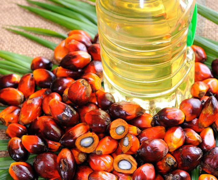 Palm oil.jpg