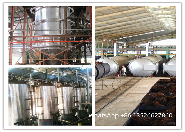 Palm fruit sterilizer.jpg