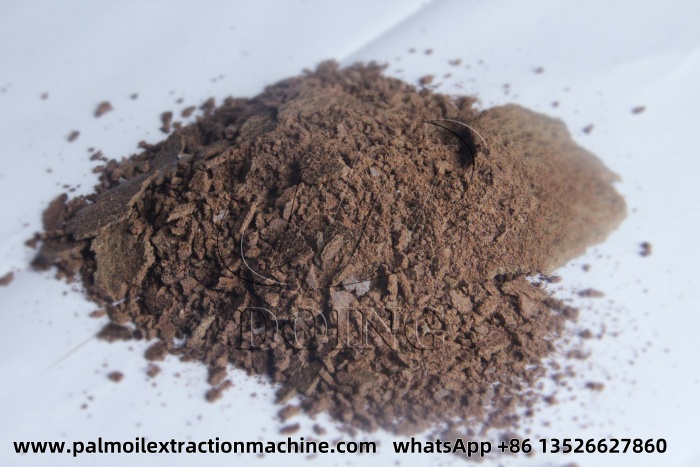 Palm kernel cake (PKC).jpg