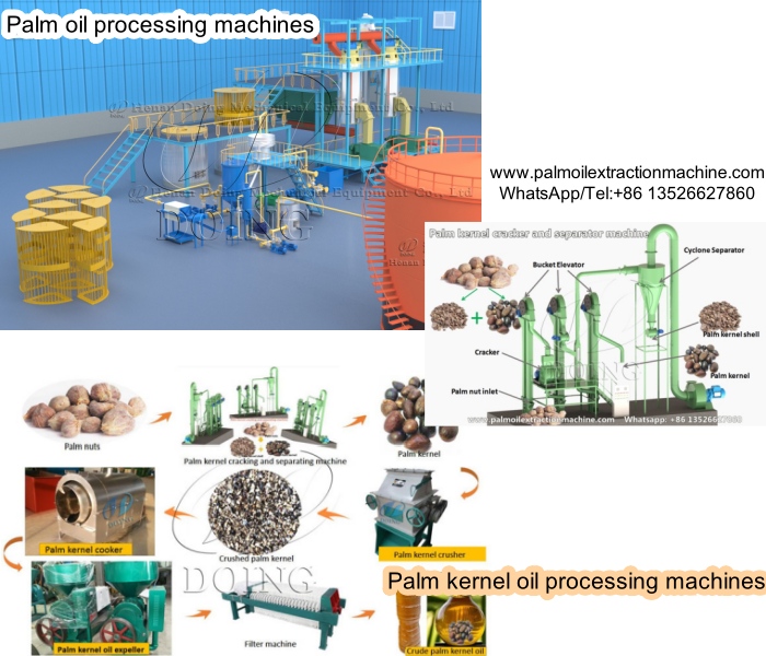 palm oil processing machines and palm kernel oil processing machines.jpg