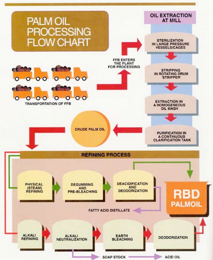 Palm oil processing process.jpg