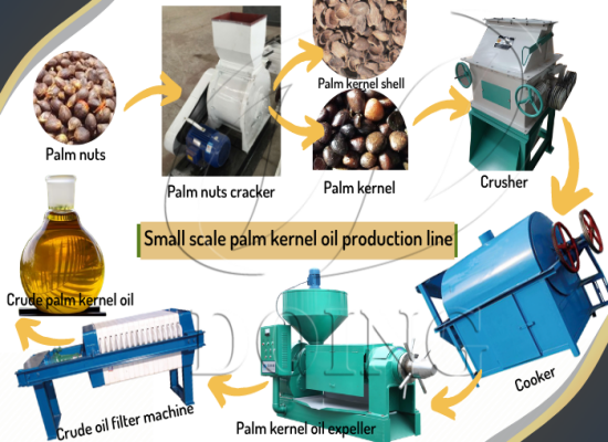 Nigerian Customer and Henan Doing Sealed a Deal for Palm Kernel Oil Extractors