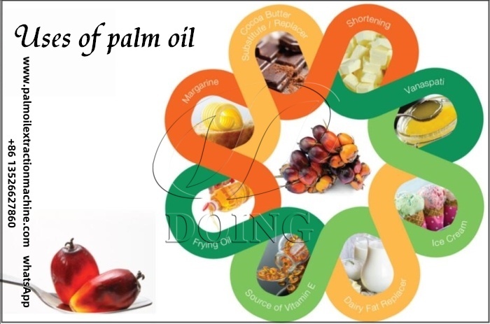 palm oil market.jpg