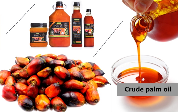 Palm oil.jpg