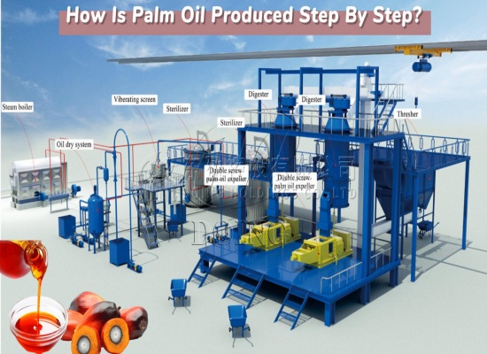 1-2tph palm oil pressing production line 3D video introduction