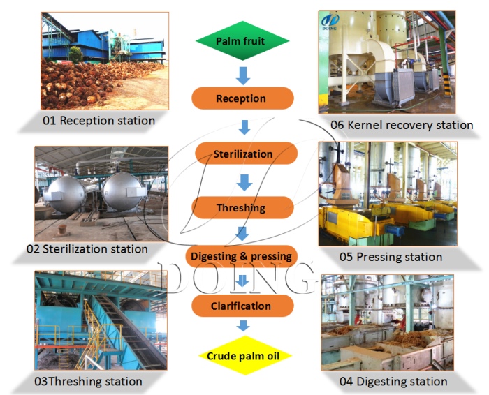 Palm oil processing plant