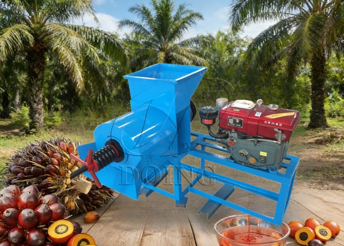 Single screw palm oil press machine