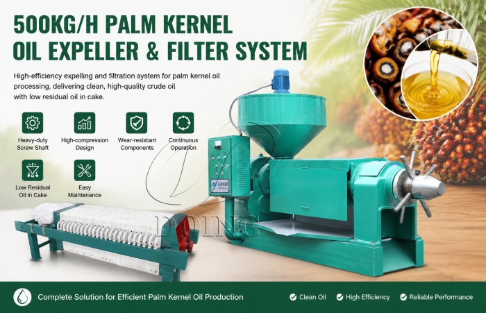 palm kernel oil expeller and filter