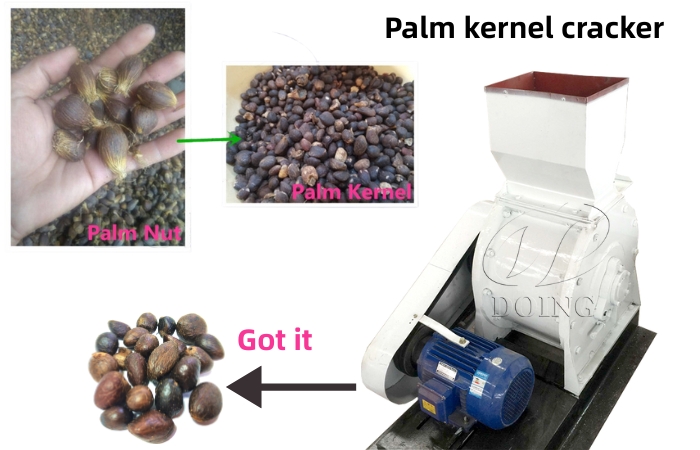 Palm kernel nut cracker