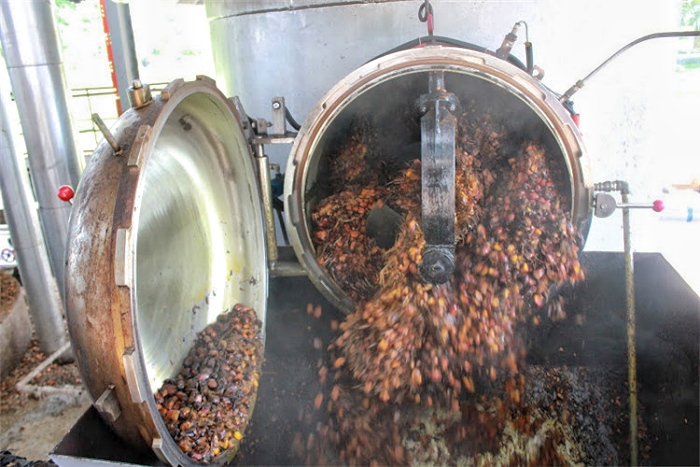Palm fruit bunch sterilization