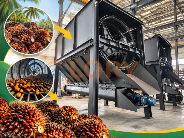 Drum type palm fruit thresher