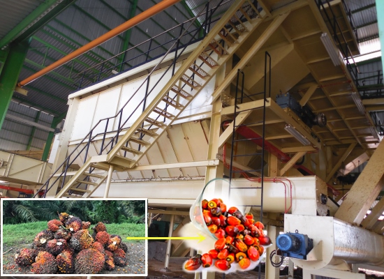 Palm oil mill process machinery